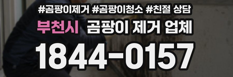 부천시 곰팡이 제거 업체
