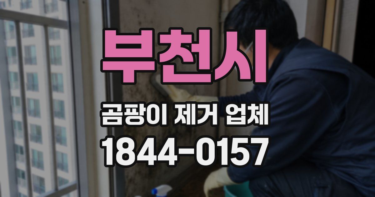 부천시 곰팡이 제거 업체