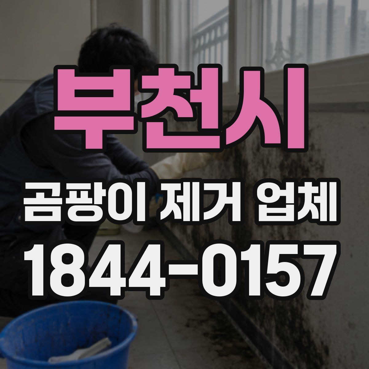 부천시 곰팡이 제거 업체