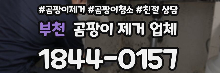 부천 곰팡이 제거 업체