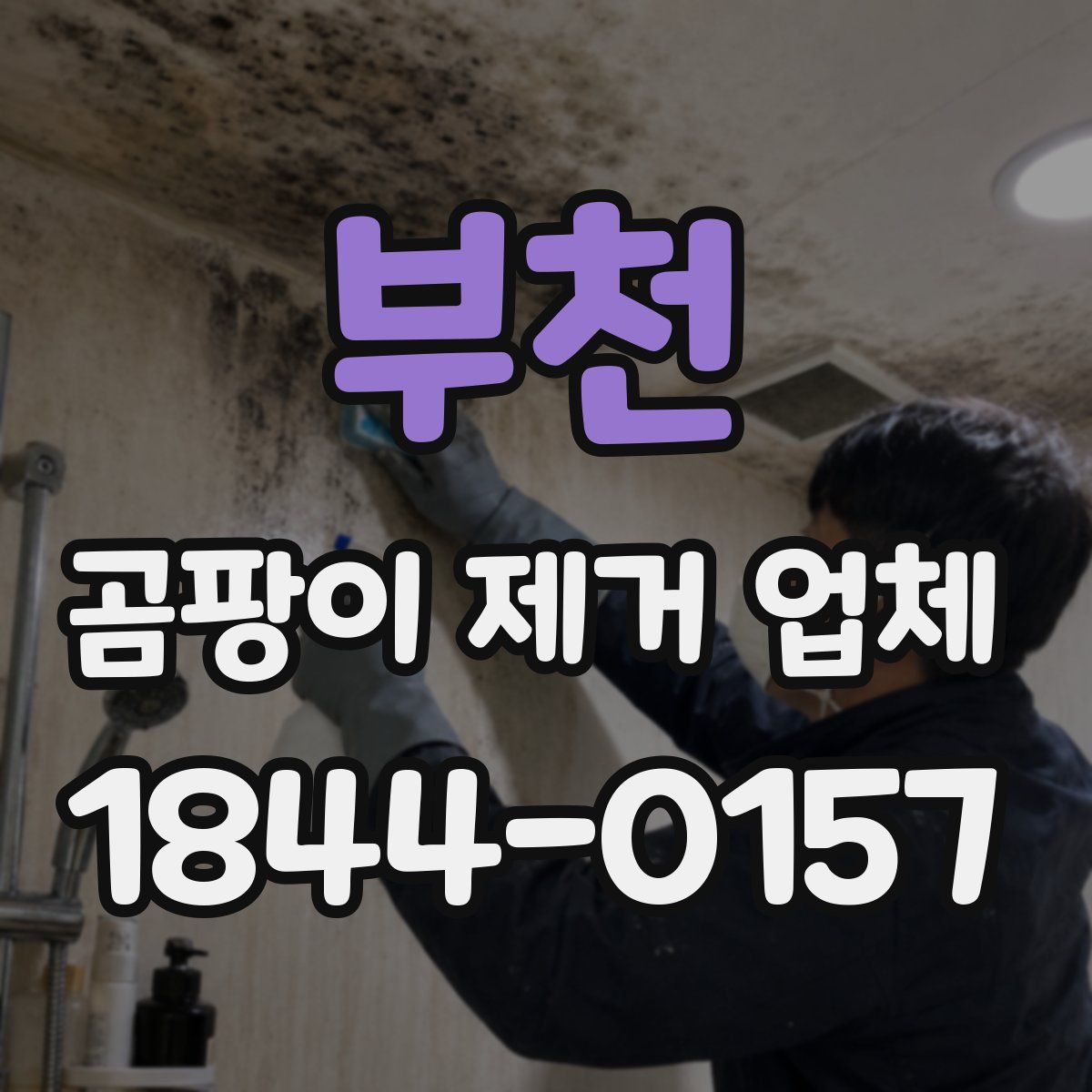 부천 곰팡이 제거 업체