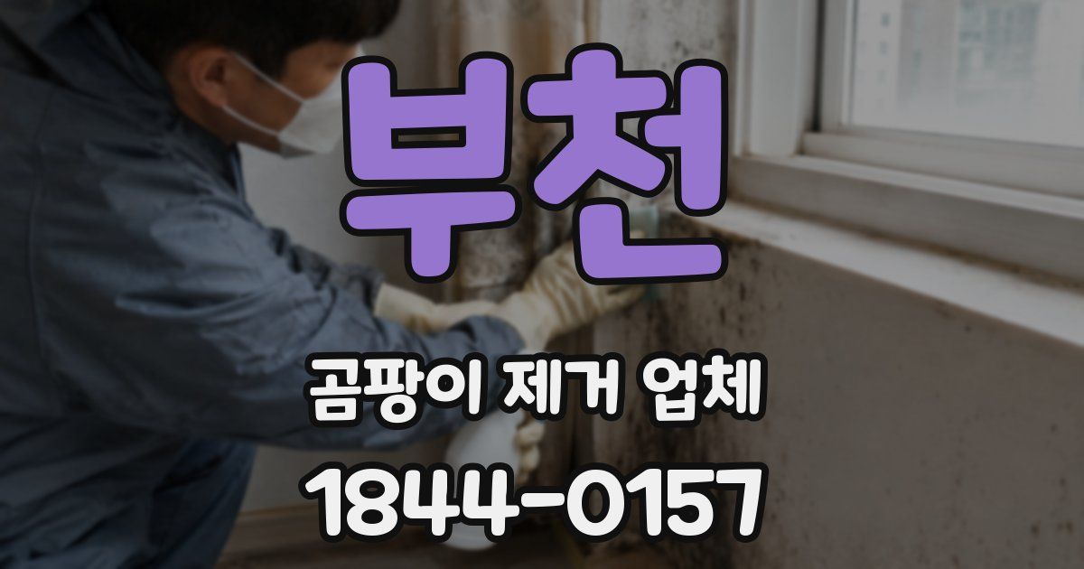 부천 곰팡이 제거 업체