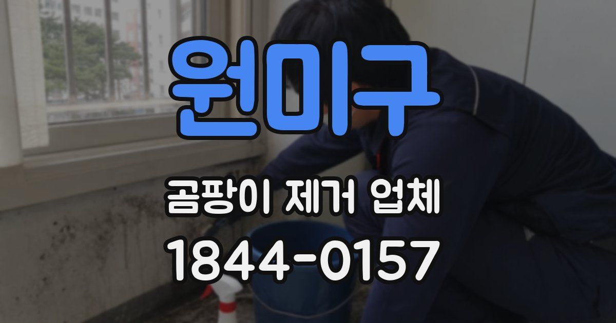 원미구 곰팡이 제거 업체