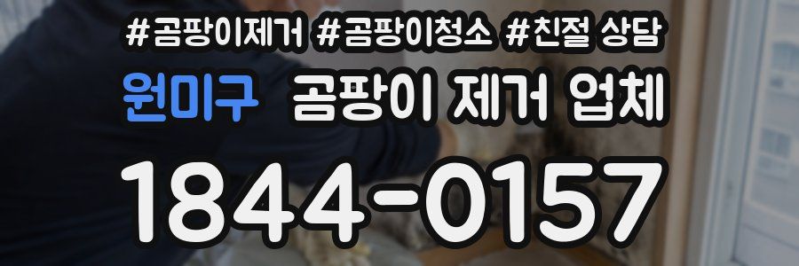 원미구 곰팡이 제거 업체