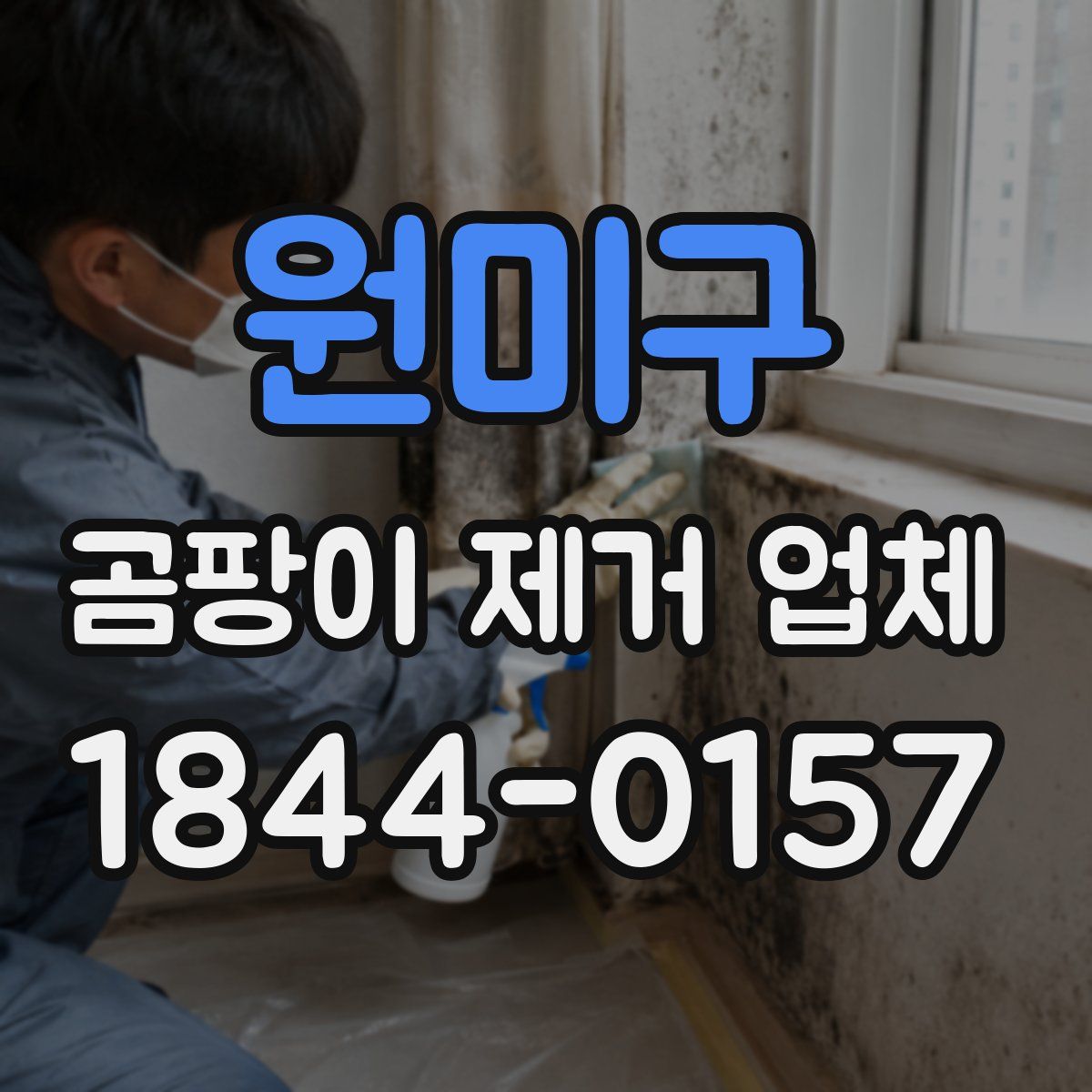 원미구 곰팡이 제거 업체