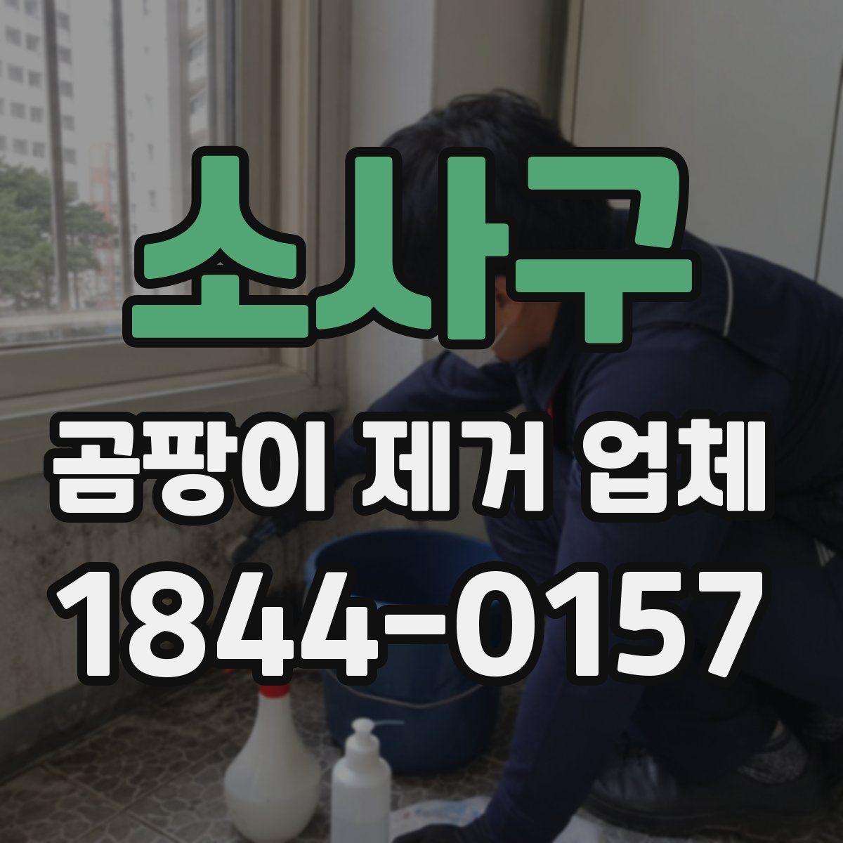 소사구 곰팡이 제거 업체