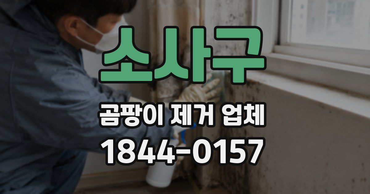 소사구 곰팡이 제거 업체