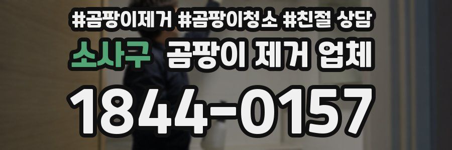 소사구 곰팡이 제거 업체