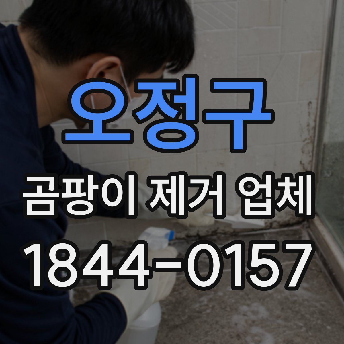 오정구 곰팡이 제거 업체