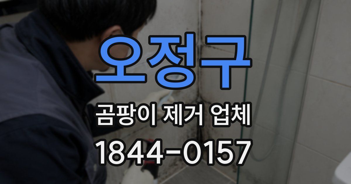 오정구 곰팡이 제거 업체