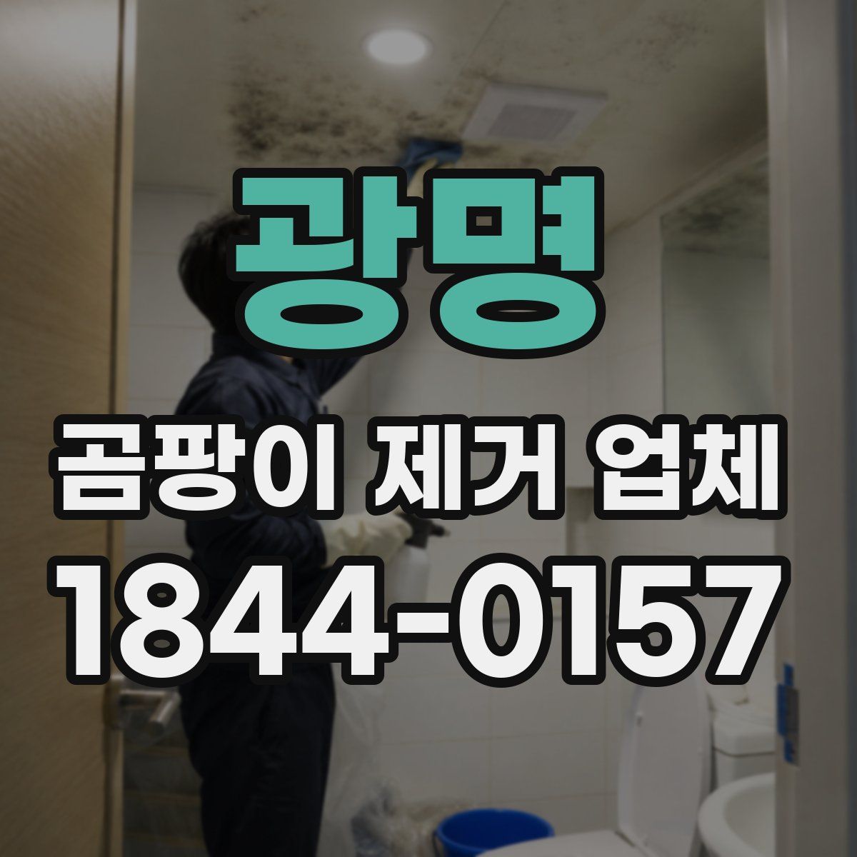 광명 곰팡이 제거 업체