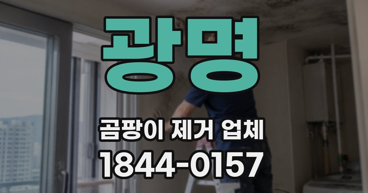 광명 곰팡이 제거 업체