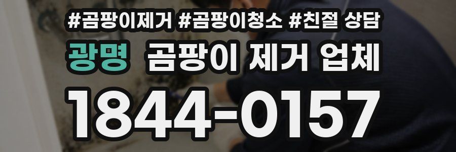 광명 곰팡이 제거 업체