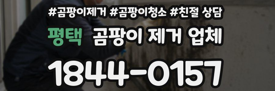 평택 곰팡이 제거 업체