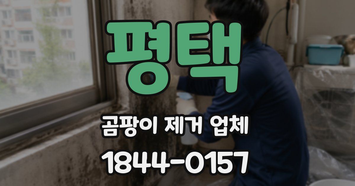 평택 곰팡이 제거 업체