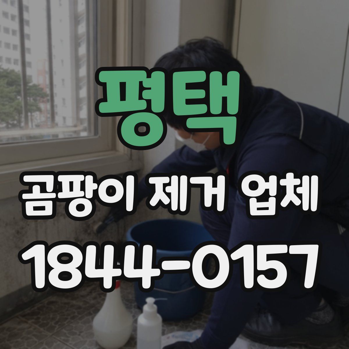 평택 곰팡이 제거 업체