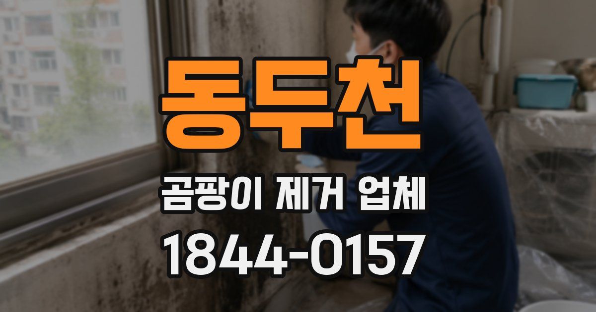 동두천 곰팡이 제거 업체