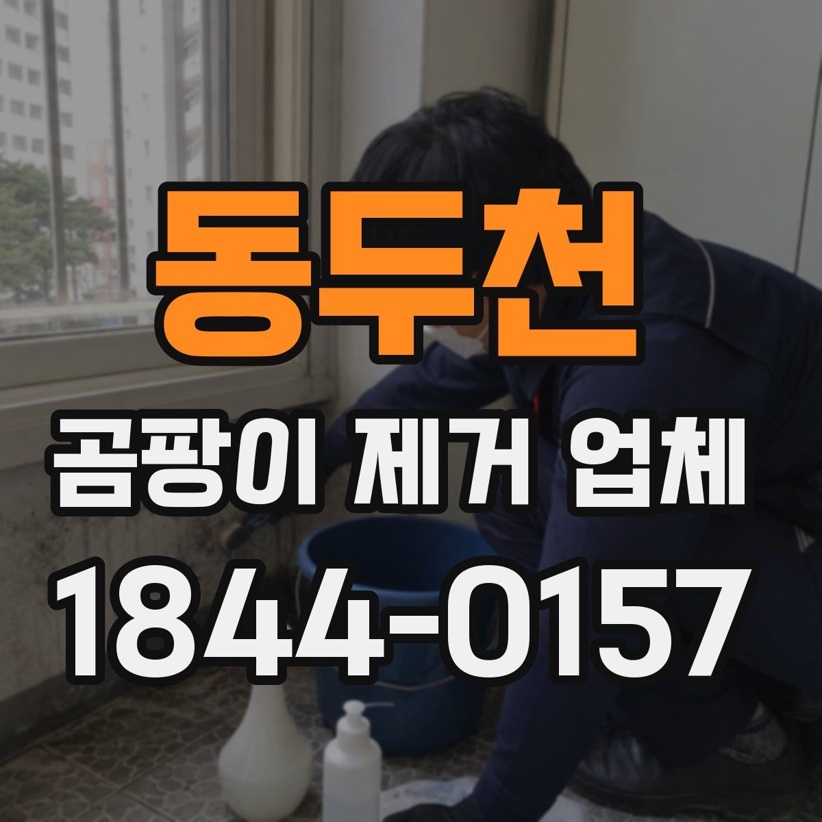동두천 곰팡이 제거 업체