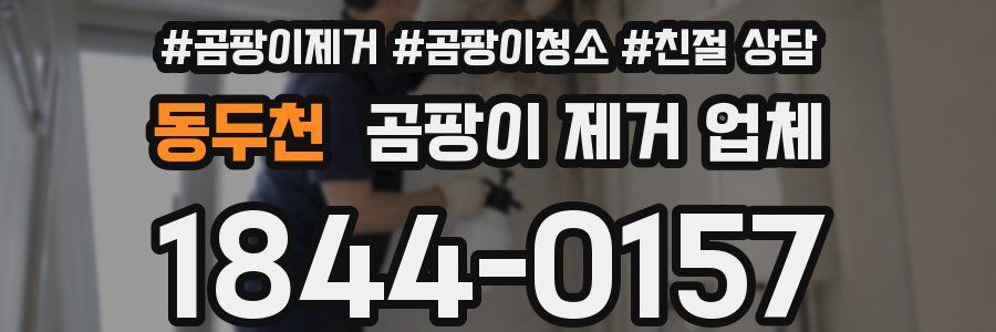 동두천 곰팡이 제거 업체