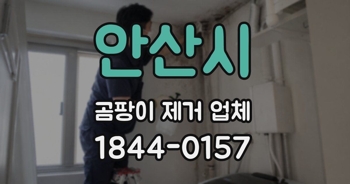 안산시 곰팡이 제거 업체
