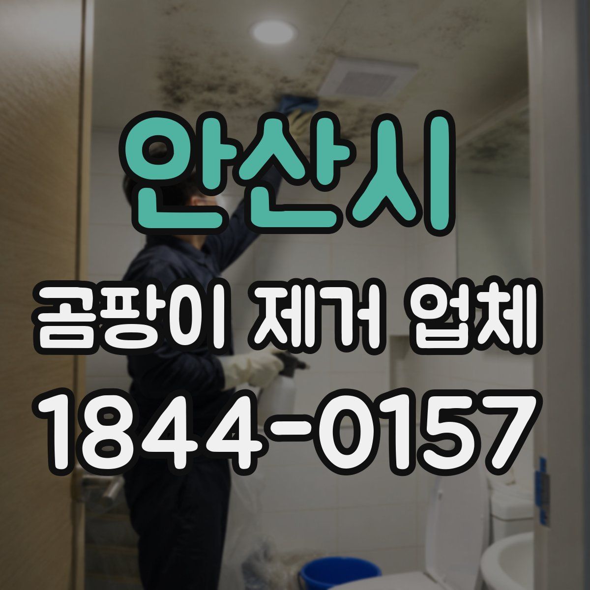안산시 곰팡이 제거 업체