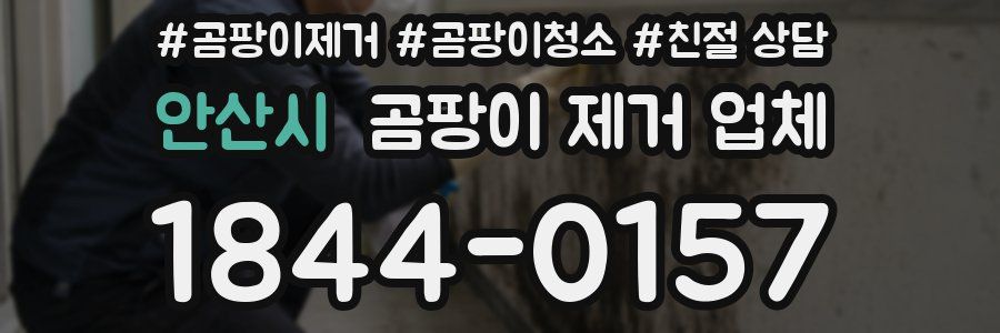 안산시 곰팡이 제거 업체