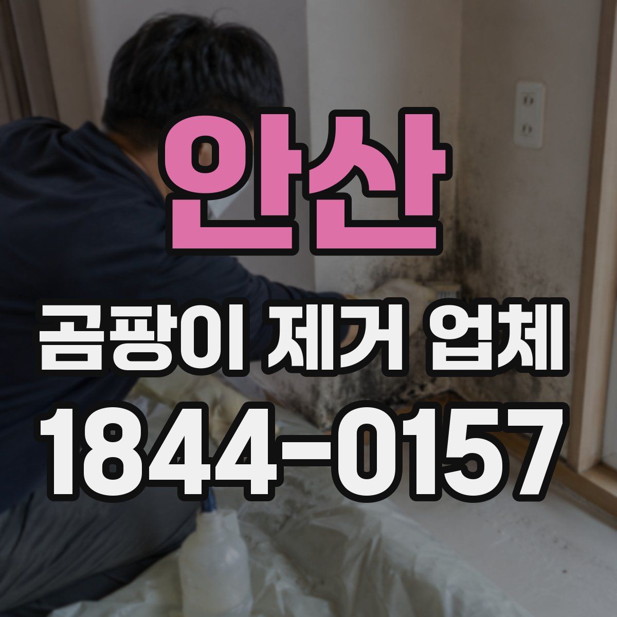 안산 곰팡이 제거 업체