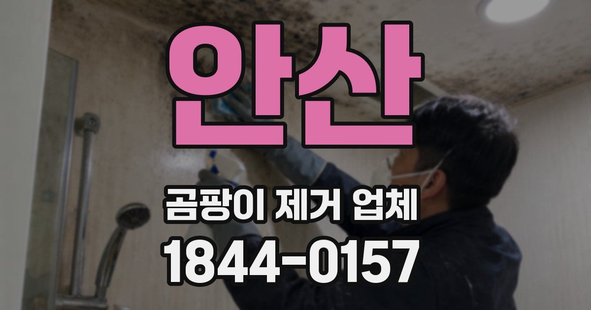 안산 곰팡이 제거 업체