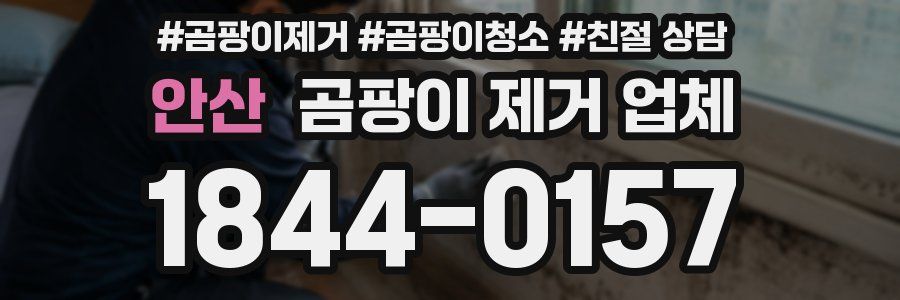 안산 곰팡이 제거 업체
