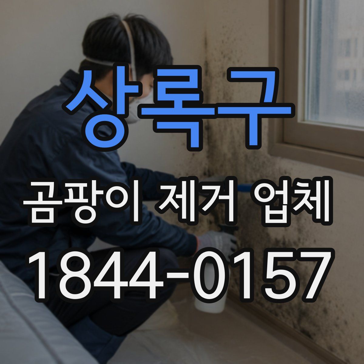 상록구 곰팡이 제거 업체