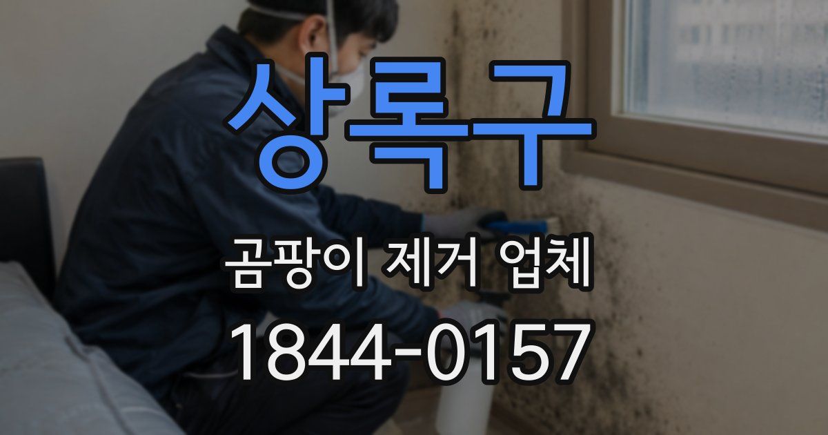 상록구 곰팡이 제거 업체