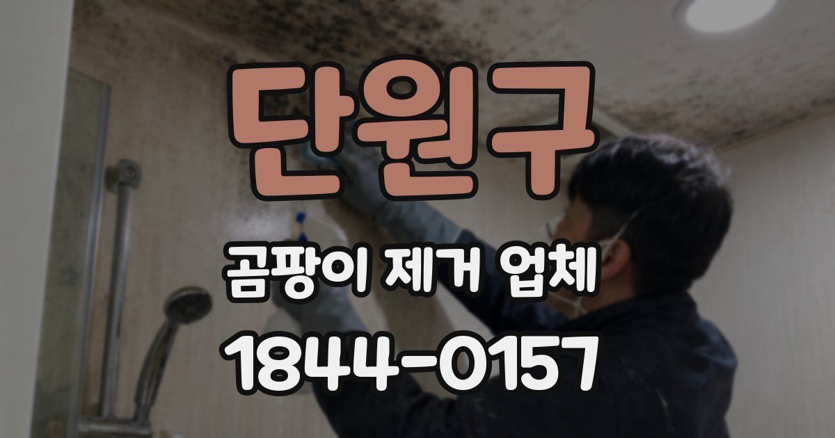 단원구 곰팡이 제거 업체