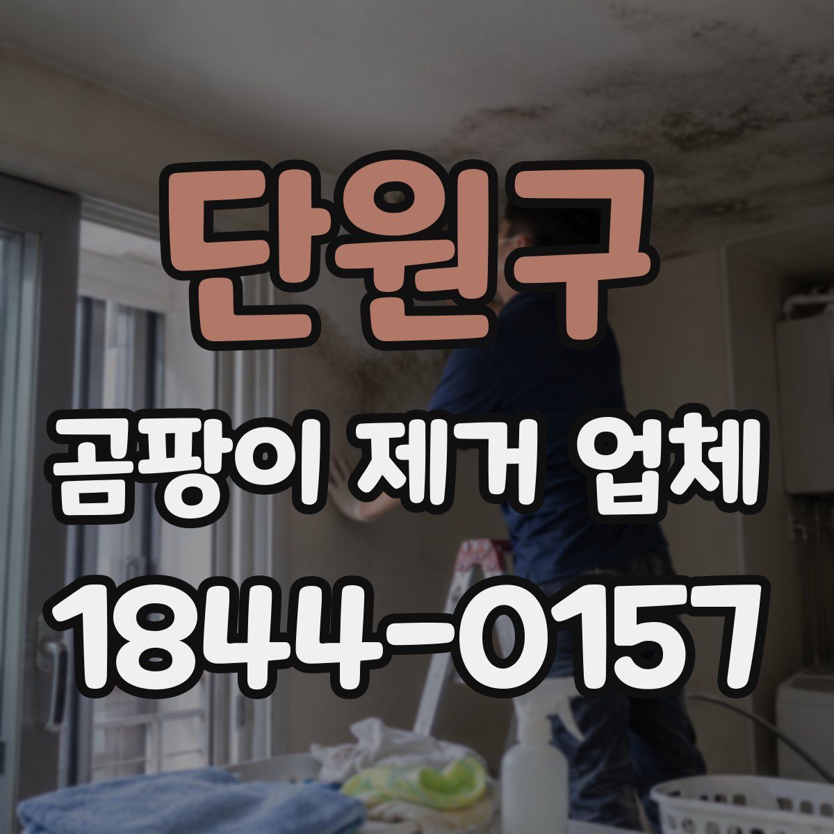 단원구 곰팡이 제거 업체