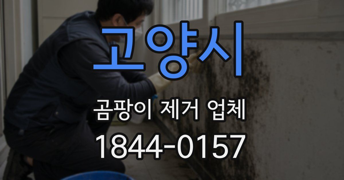 고양시 곰팡이 제거 업체