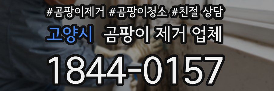 고양시 곰팡이 제거 업체