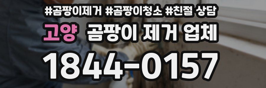 고양 곰팡이 제거 업체