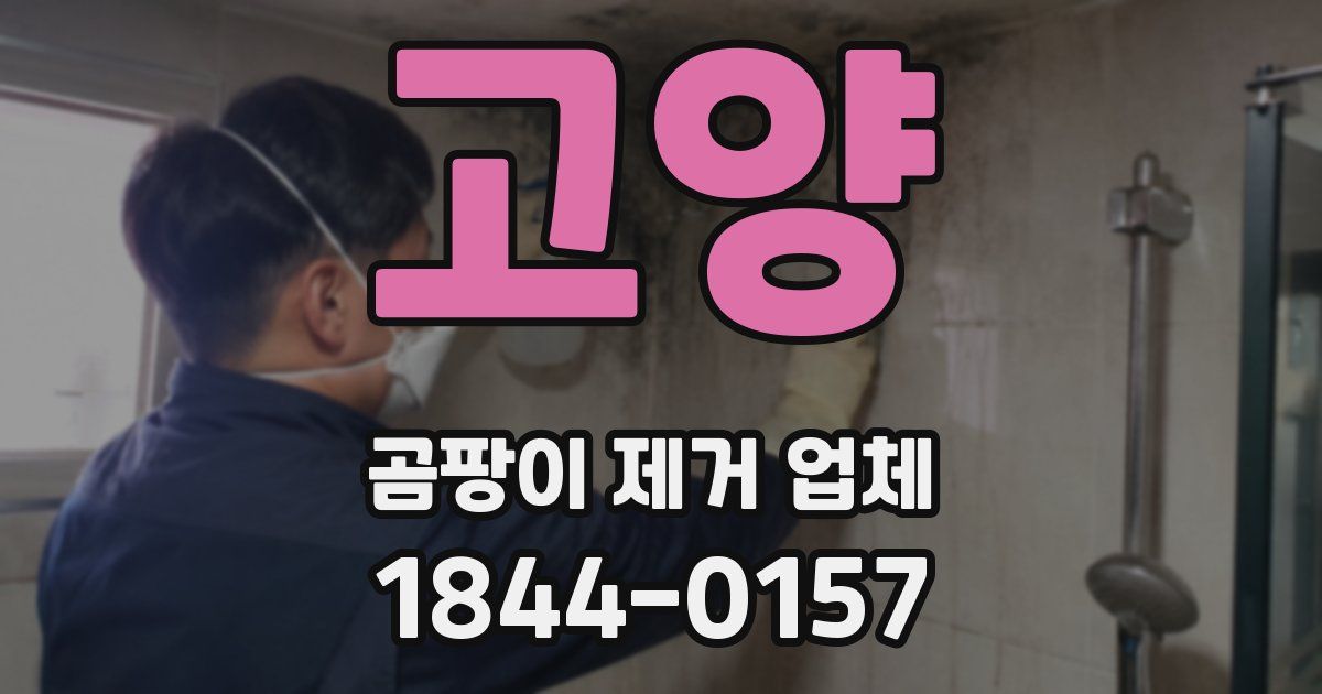 고양 곰팡이 제거 업체