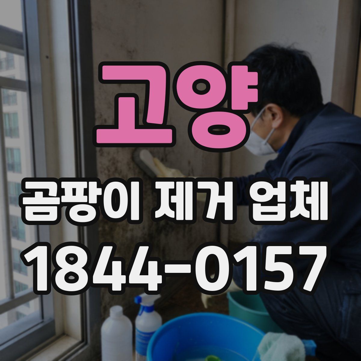 고양 곰팡이 제거 업체