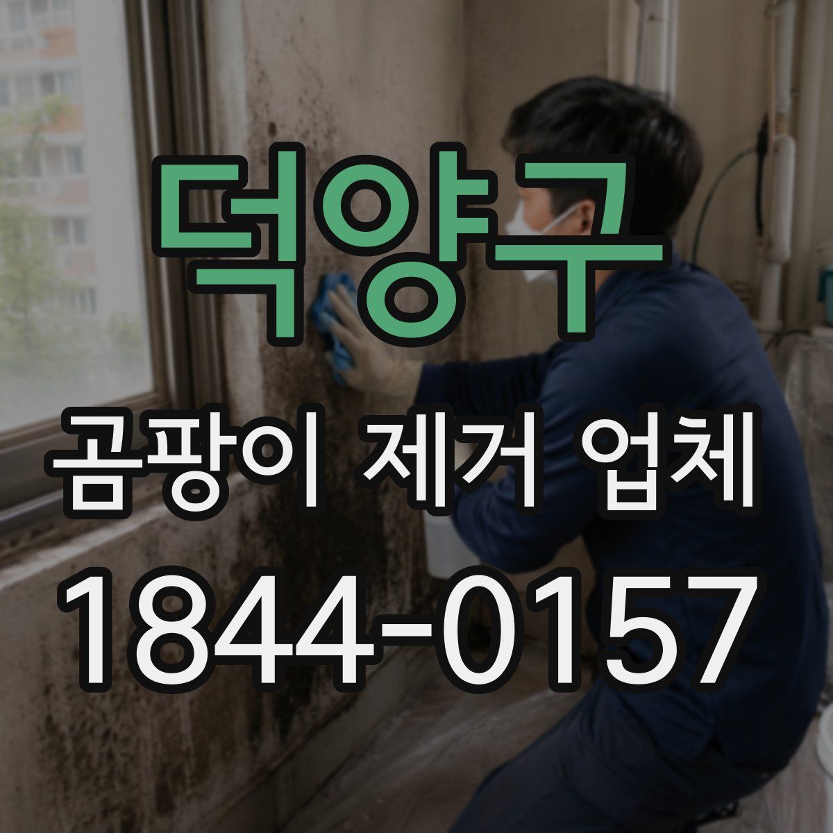 덕양구 곰팡이 제거 업체