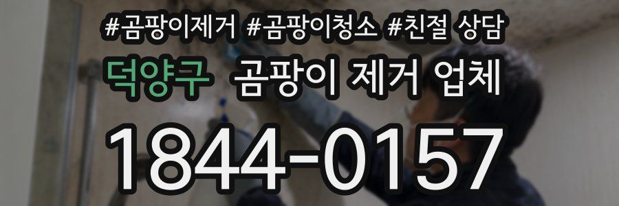 덕양구 곰팡이 제거 업체