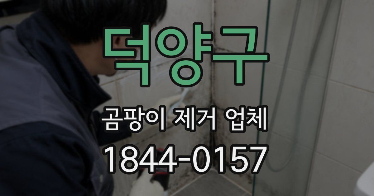 덕양구 곰팡이 제거 업체