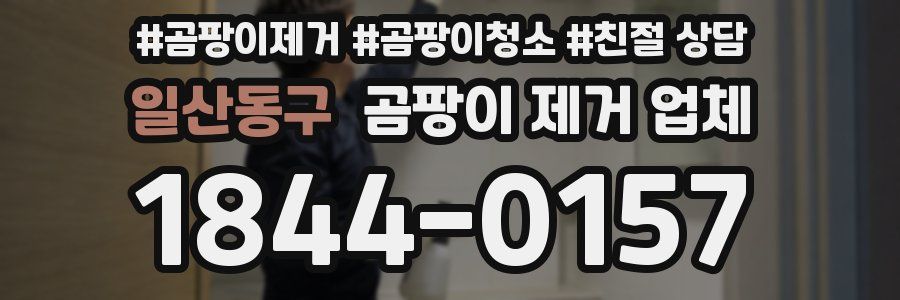 일산동구 곰팡이 제거 업체