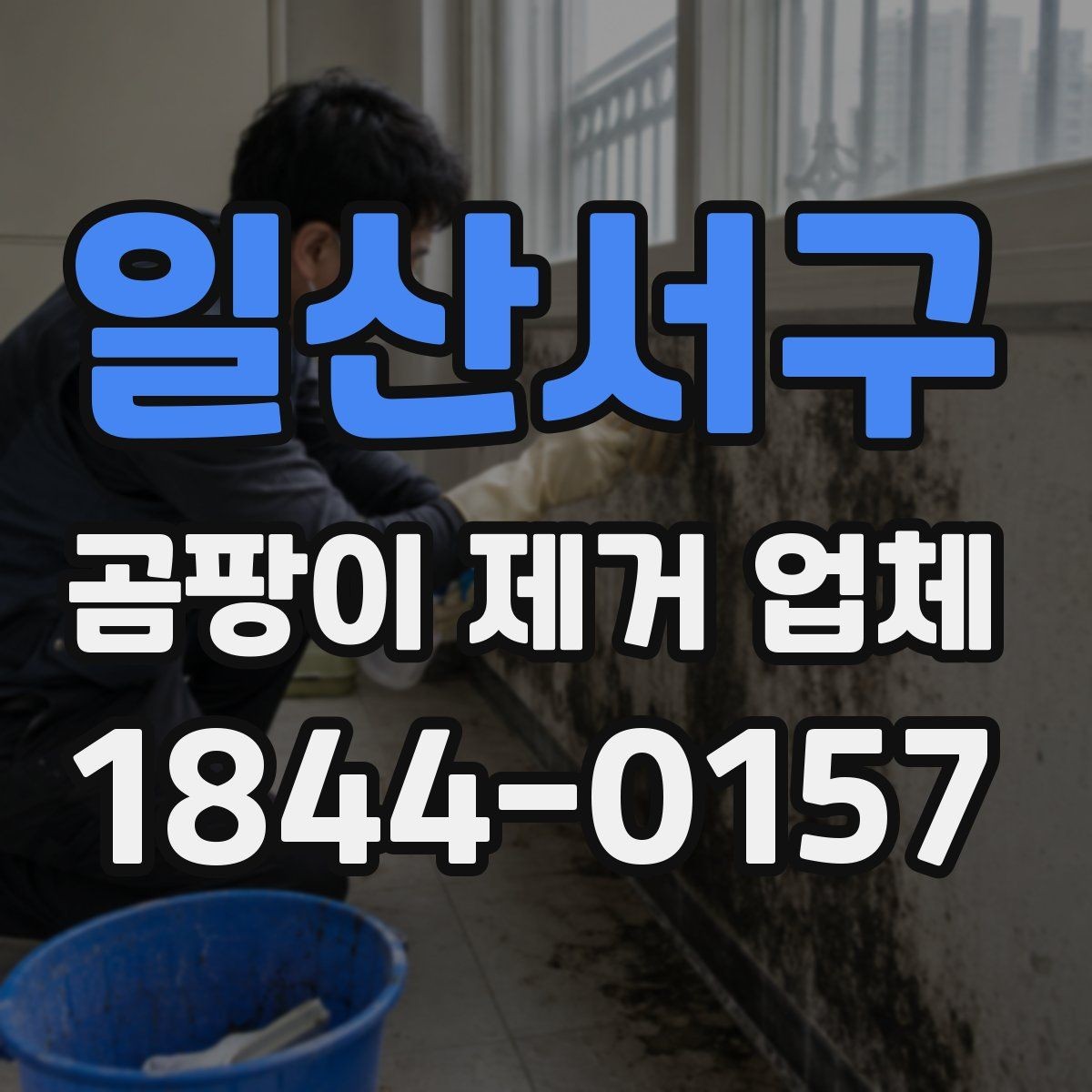일산서구 곰팡이 제거 업체 시공 품질을 판단하는 기준