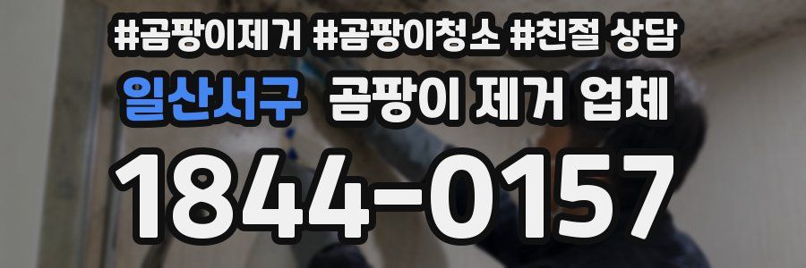일산서구 곰팡이 제거 업체