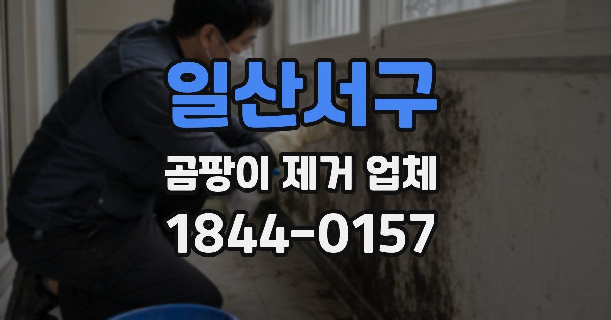 일산서구 곰팡이 제거 업체