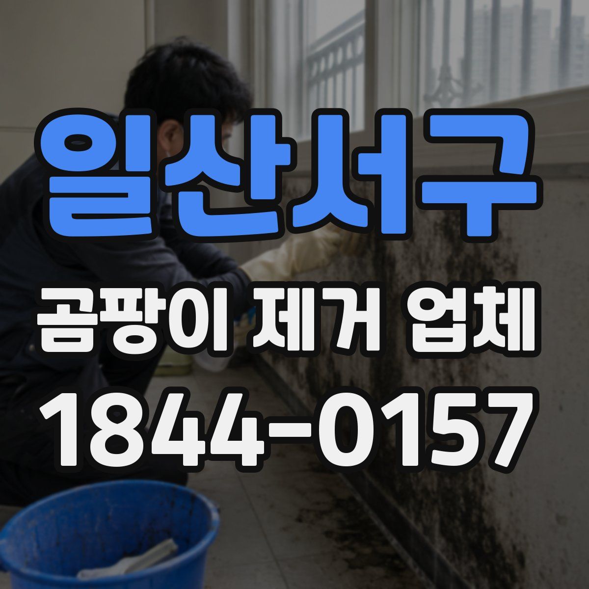 일산서구 곰팡이 제거 업체