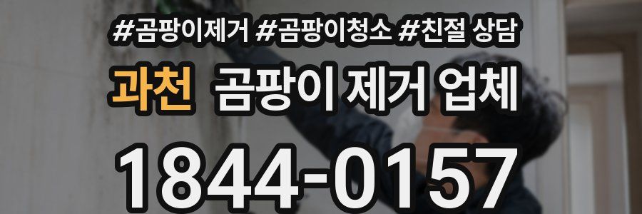 과천 곰팡이 제거 업체