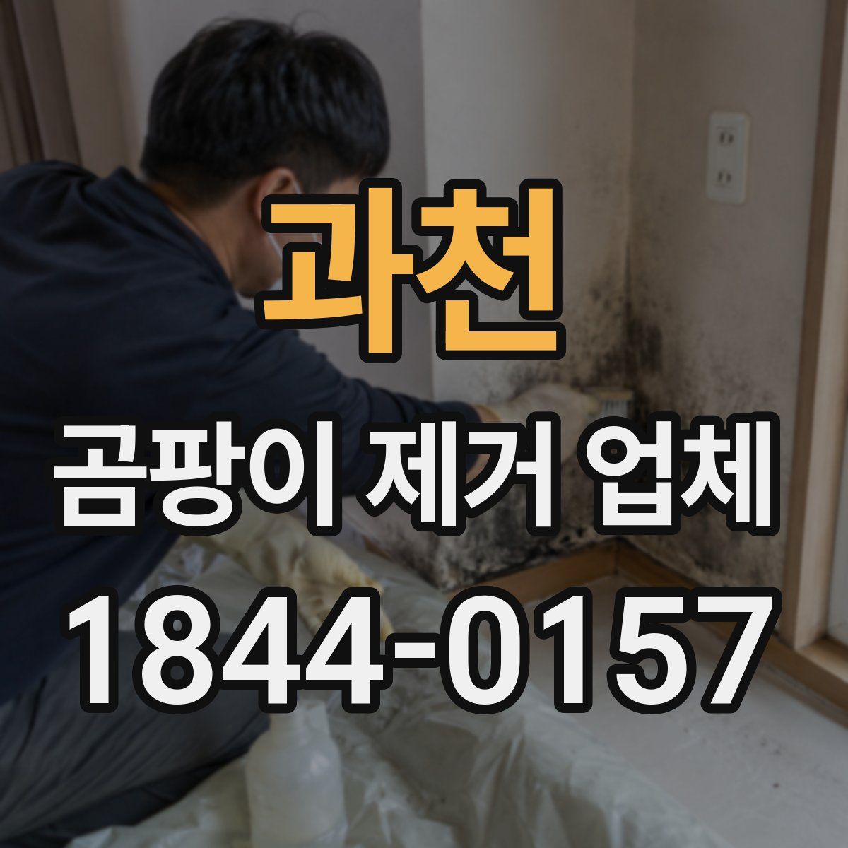 과천 곰팡이 제거 업체