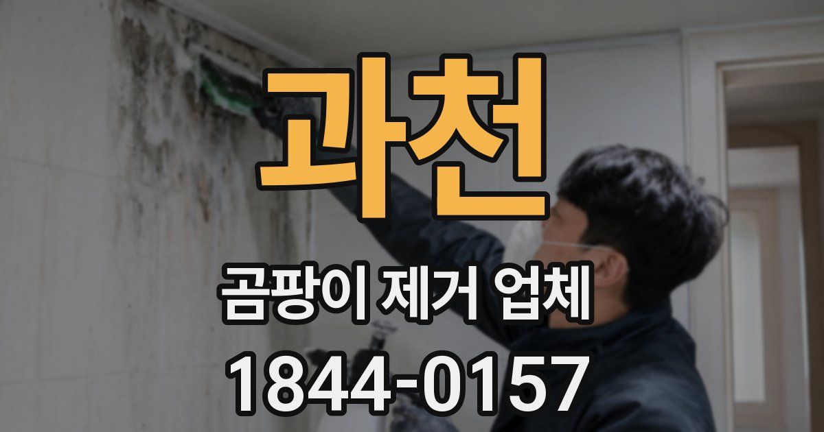 과천 곰팡이 제거 업체