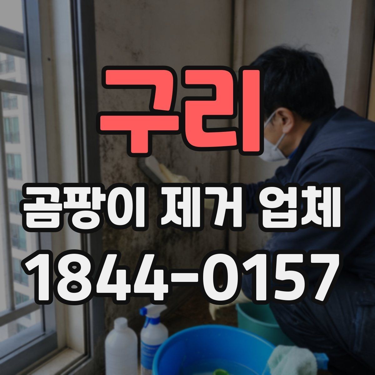 구리 곰팡이 제거 업체 찾을 때 실수하기 쉬운 부분